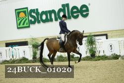 24BUCK_01020 thumbnail