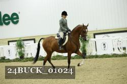 24BUCK_01024 thumbnail