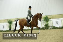 24BUCK_01025 thumbnail
