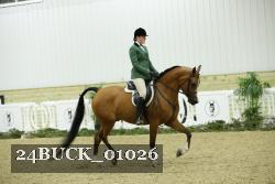 24BUCK_01026 thumbnail