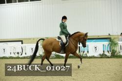 24BUCK_01027 thumbnail