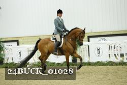 24BUCK_01028 thumbnail