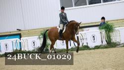 24BUCK_01029 thumbnail