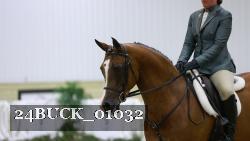 24BUCK_01032 thumbnail