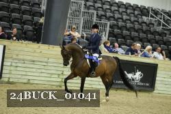 24BUCK_01041 thumbnail