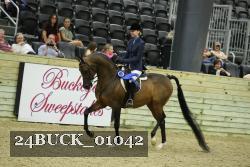 24BUCK_01042 thumbnail