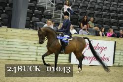 24BUCK_01043 thumbnail
