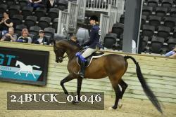 24BUCK_01046 thumbnail