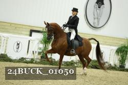 24BUCK_01050 thumbnail