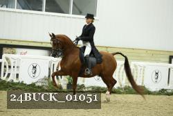 24BUCK_01051 thumbnail