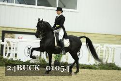24BUCK_01054 thumbnail