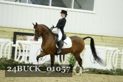 24BUCK_01057 thumbnail
