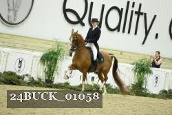 24BUCK_01058 thumbnail