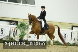 24BUCK_01060 thumbnail
