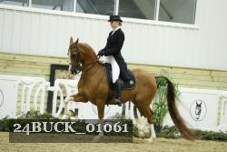 24BUCK_01061 thumbnail