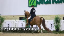 24BUCK_01062 thumbnail