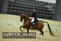 24BUCK_01063 thumbnail
