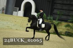 24BUCK_01065 thumbnail