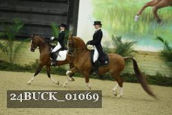 24BUCK_01069 thumbnail