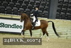 24BUCK_01074 thumbnail