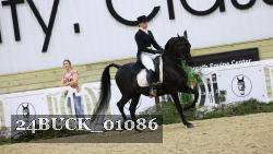 24BUCK_01086 thumbnail