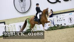 24BUCK_01088 thumbnail