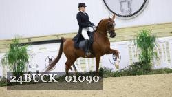 24BUCK_01090 thumbnail