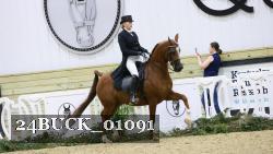24BUCK_01091 thumbnail