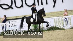 24BUCK_01092 thumbnail