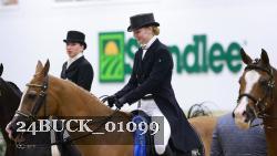 24BUCK_01099 thumbnail