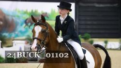 24BUCK_01102 thumbnail