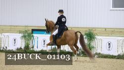 24BUCK_01103 thumbnail