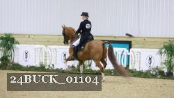 24BUCK_01104 thumbnail
