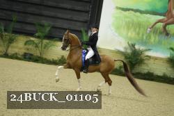 24BUCK_01105 thumbnail