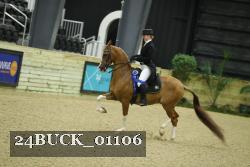 24BUCK_01106 thumbnail