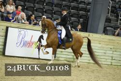 24BUCK_01108 thumbnail