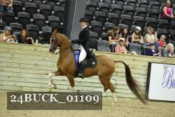 24BUCK_01109 thumbnail