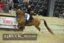 24BUCK_01110 thumbnail