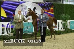 24BUCK_01118 thumbnail
