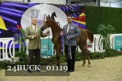 24BUCK_01119 thumbnail