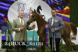 24BUCK_01121 thumbnail