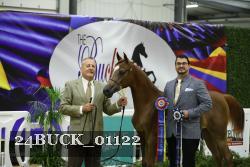 24BUCK_01122 thumbnail
