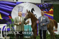 24BUCK_01123 thumbnail