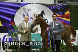 24BUCK_01124 thumbnail