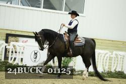 24BUCK_01125 thumbnail