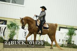 24BUCK_01129 thumbnail