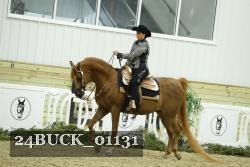24BUCK_01131 thumbnail