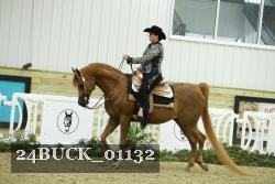 24BUCK_01132 thumbnail