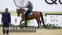 24BUCK_01133 thumbnail