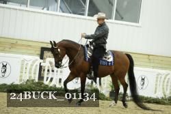 24BUCK_01134 thumbnail